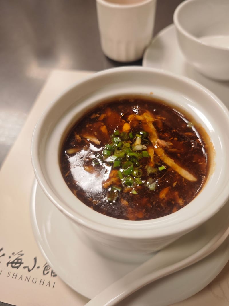 Veg Manchow Soup