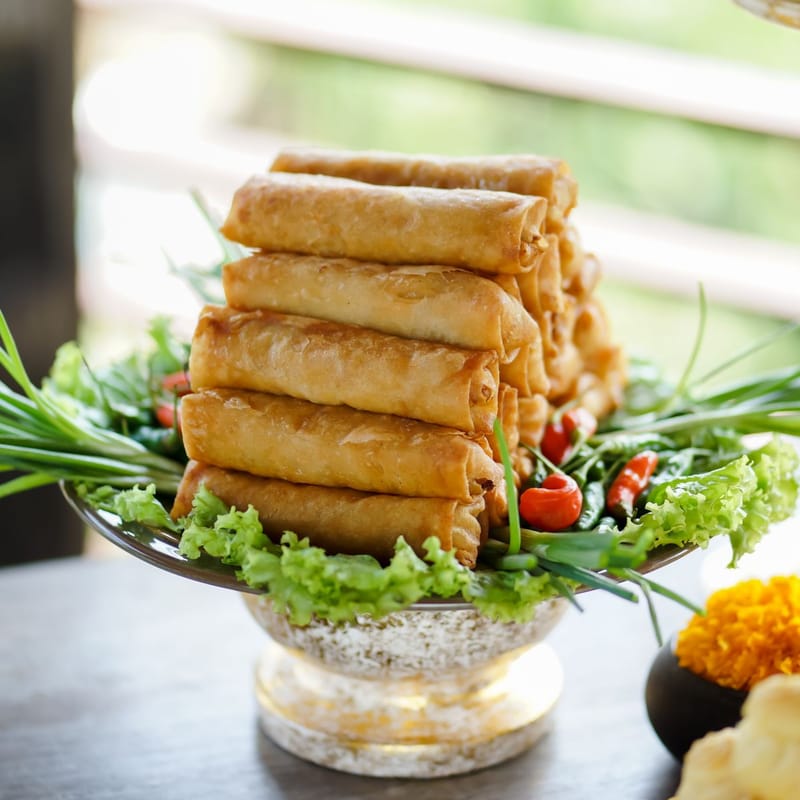 Veg Spring Rolls