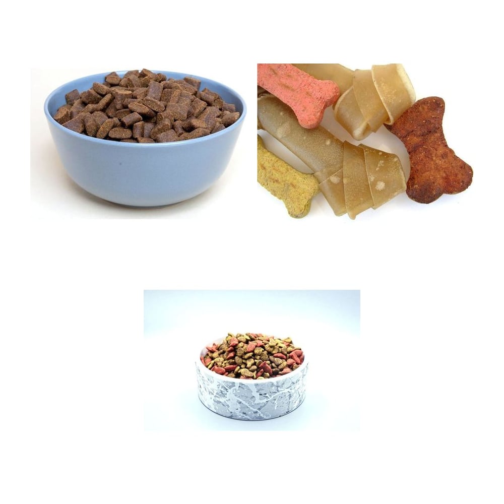 Pet Care