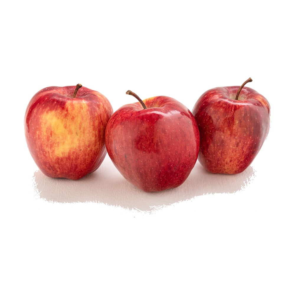 Apple Shimla
