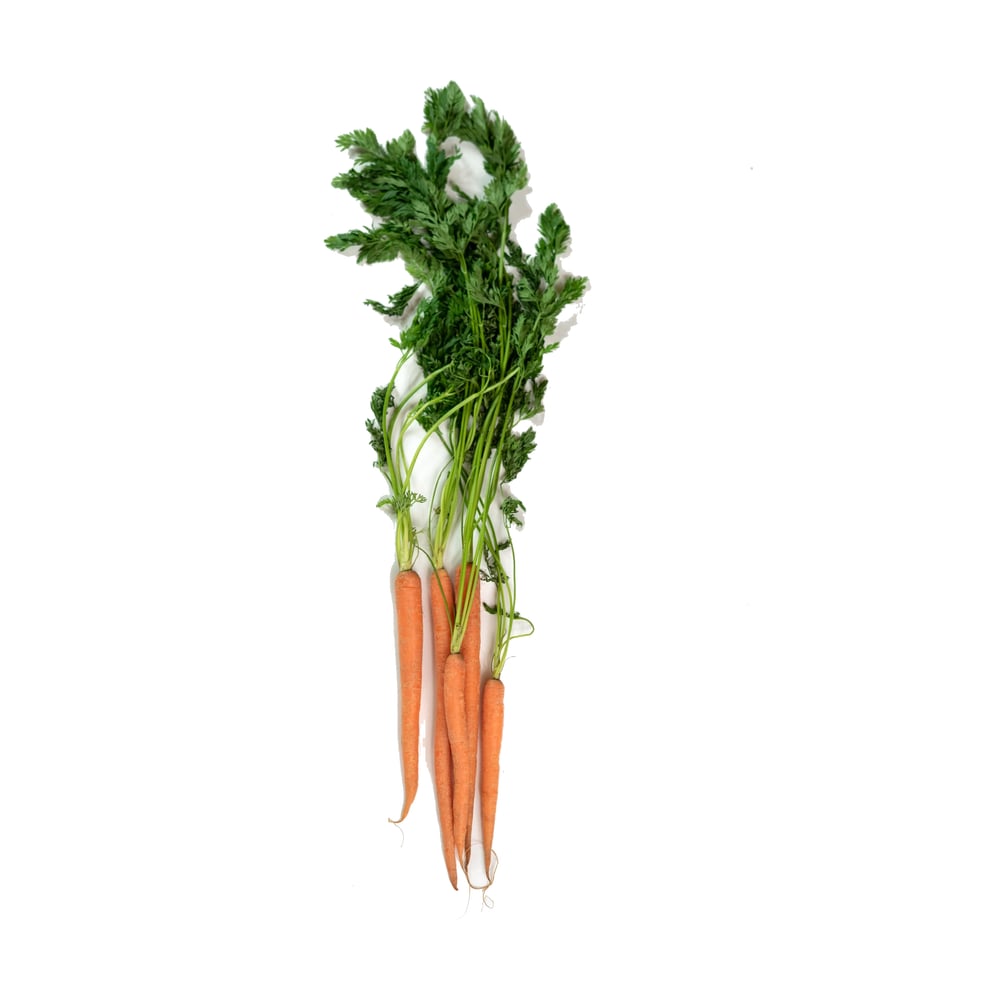 Carrot Ooty