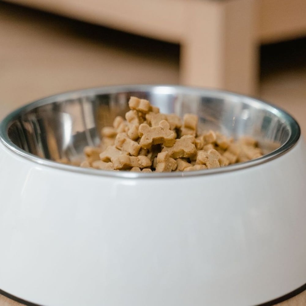 Gravy Chicken Chunks Pouch