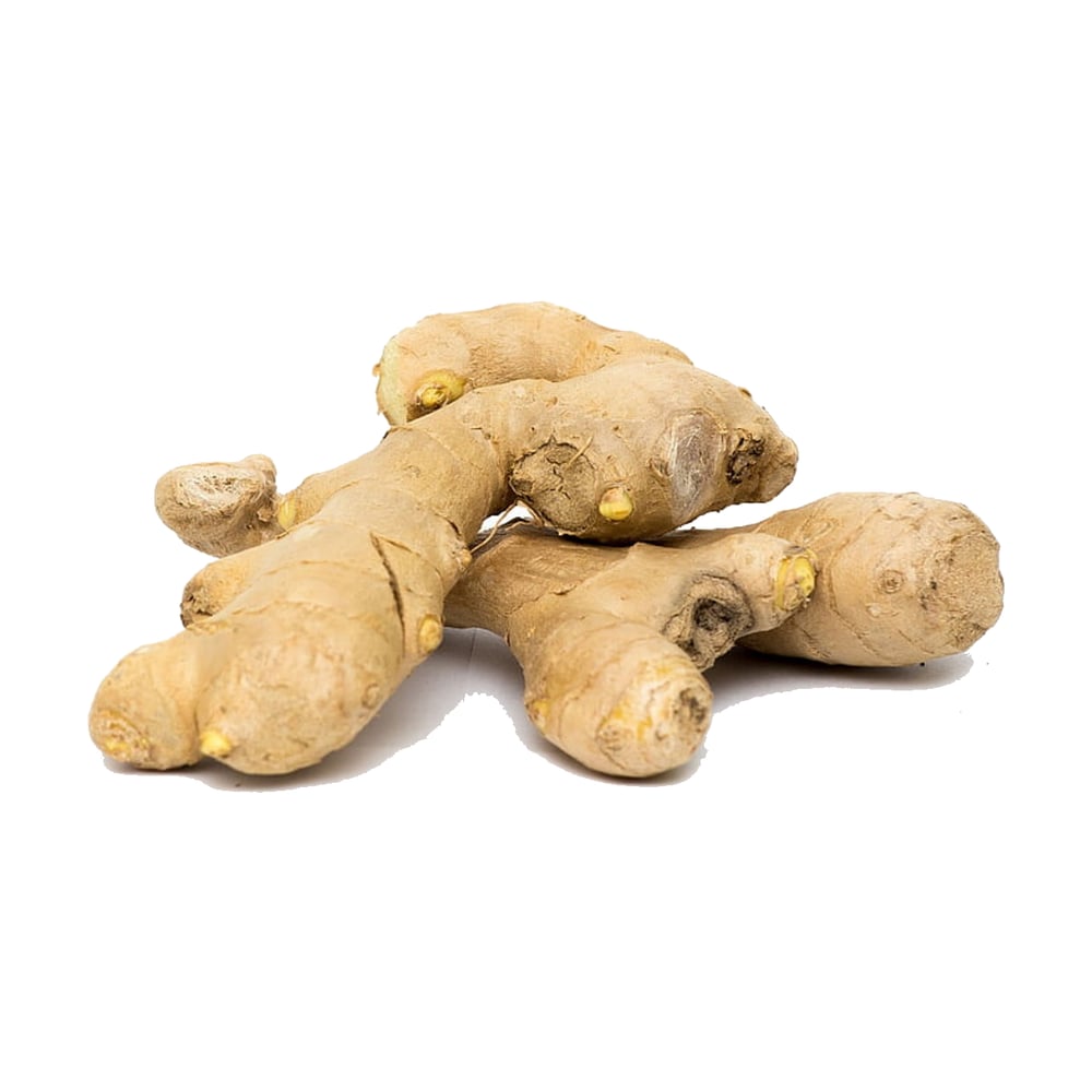 Ginger
