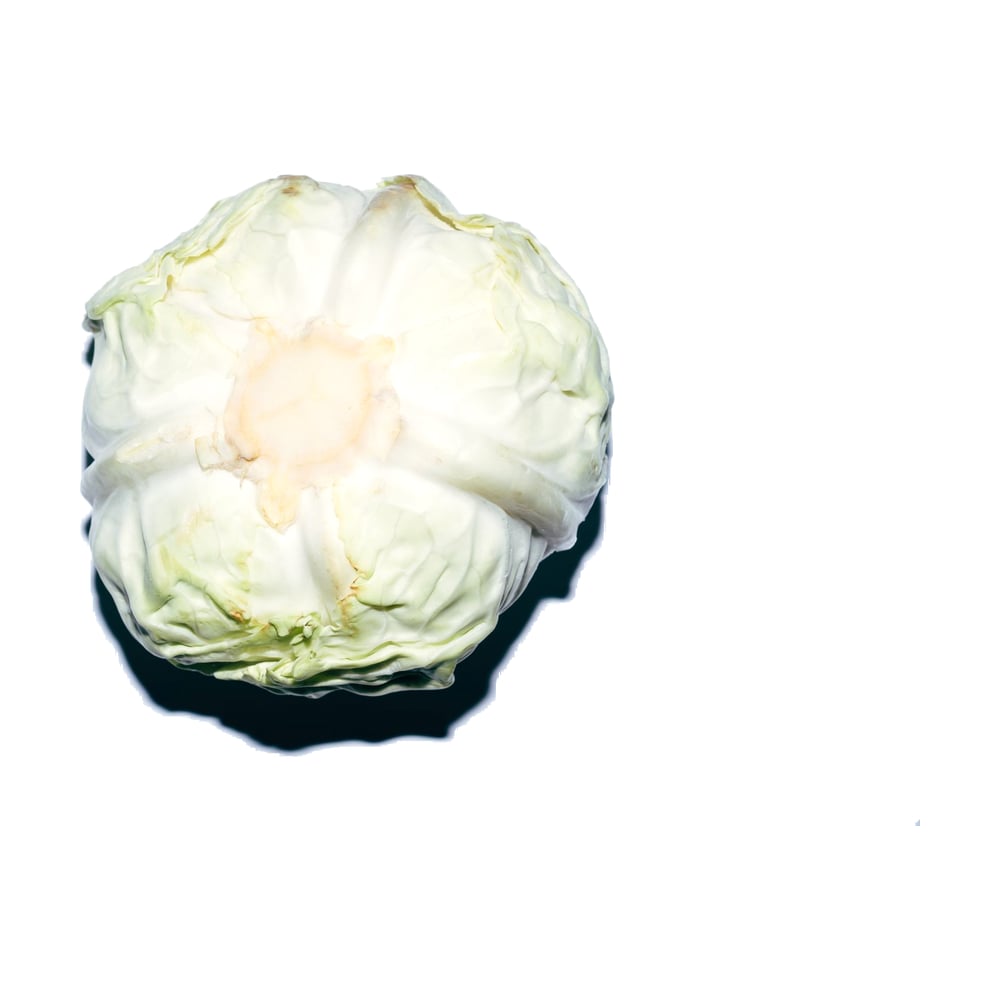 Iceberg Lettuce