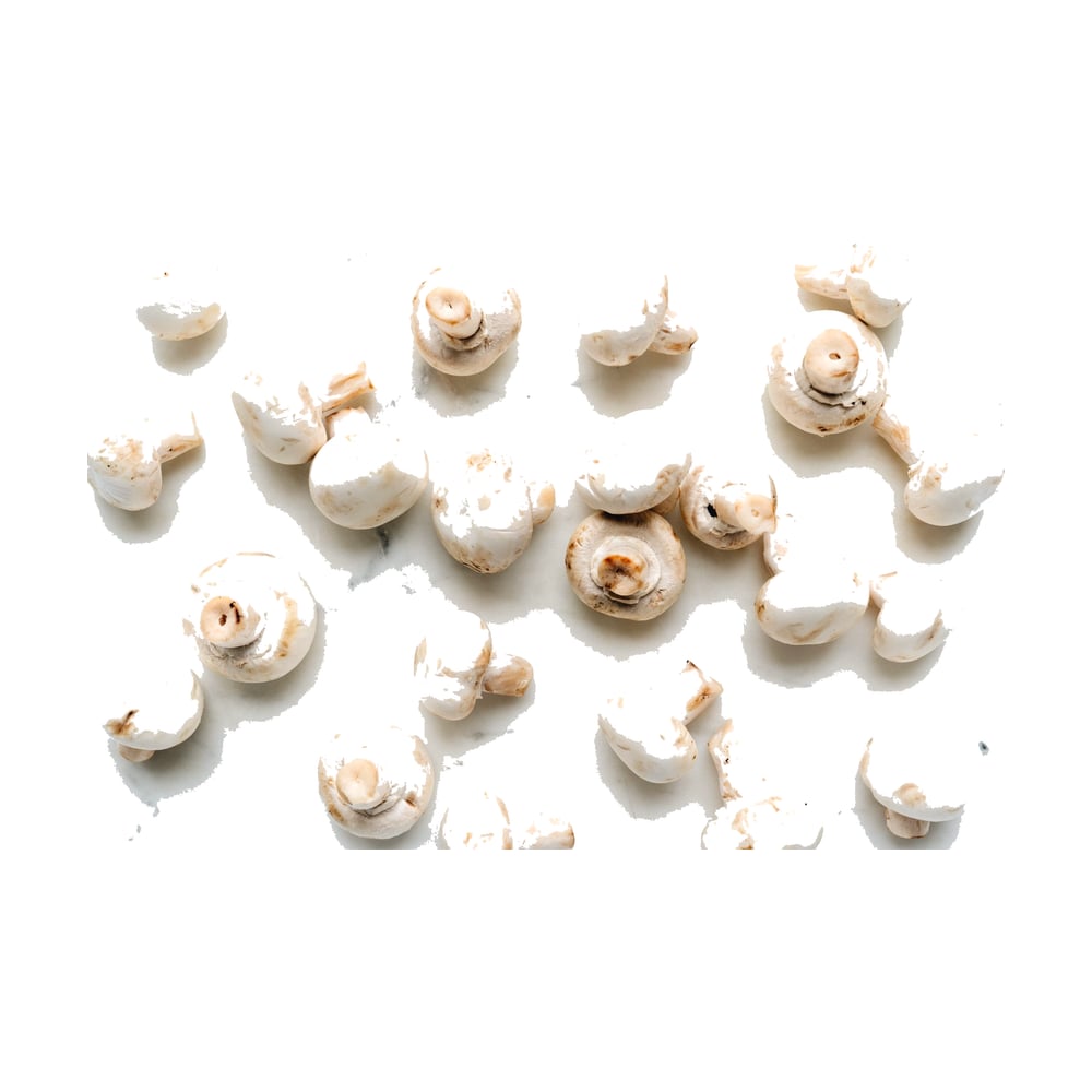 Button Mushroom
