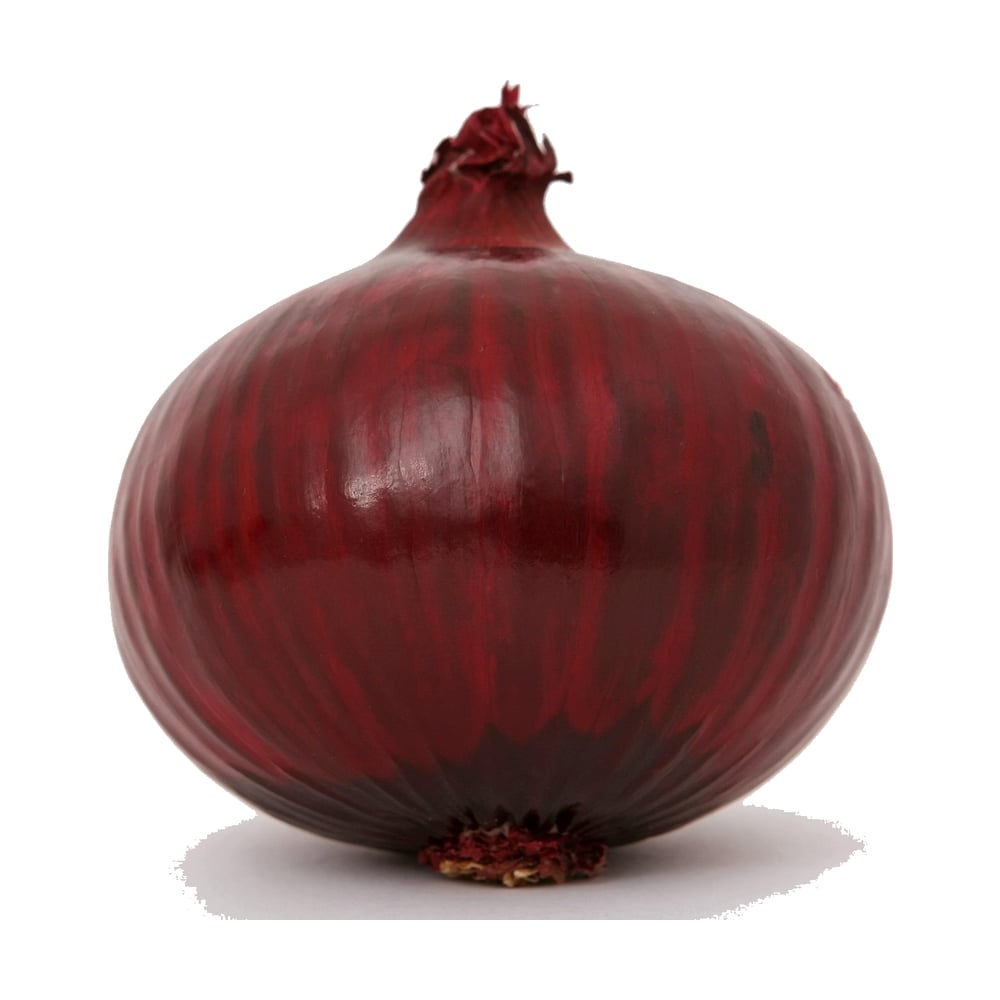 Onion