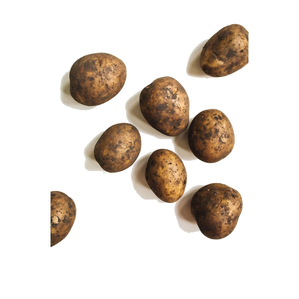 Potato