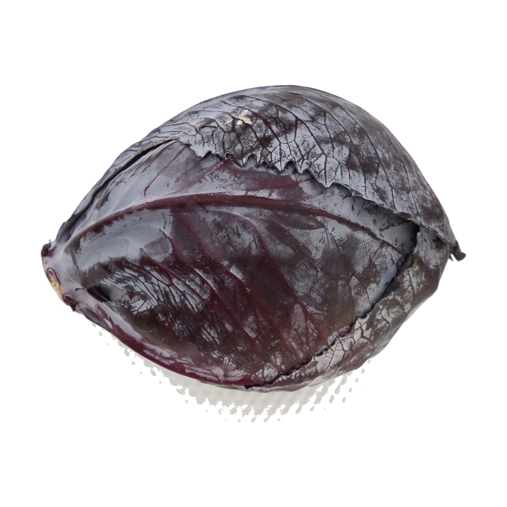 Red Cabbage