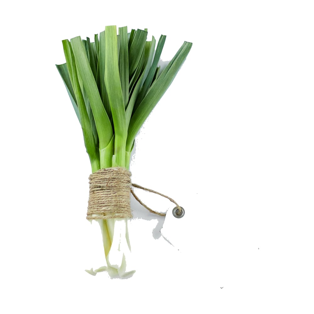 Spring Onion