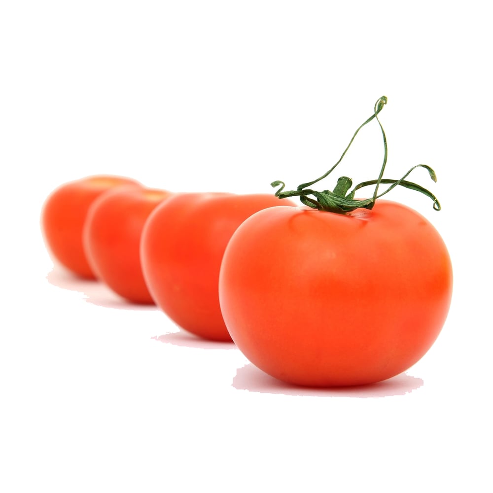Tomato Hybrid